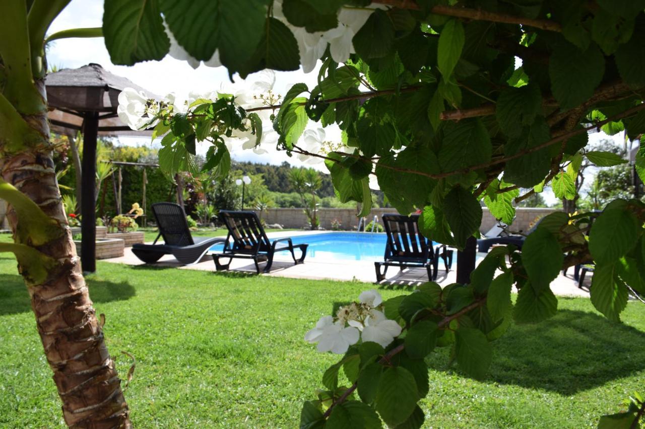 Alagoas4Family - Country House اروكا المظهر الخارجي الصورة